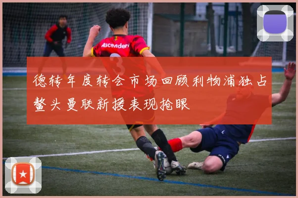 德转年度转会市场回顾利物浦独占鳌头曼联新援表现抢眼
